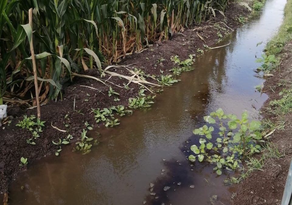 Los gobiernos federal y estatal promueven cambio de paradigma para el campo mexicano