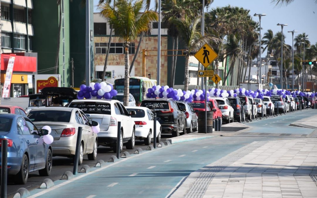 Un éxito la caravana por la participación ciudadana convocada por el PAS