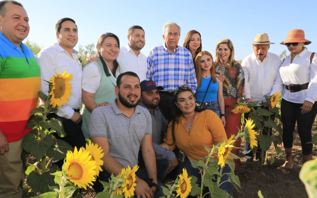 Gobernador acude a la apertura del campo de girasoles de Mocorito