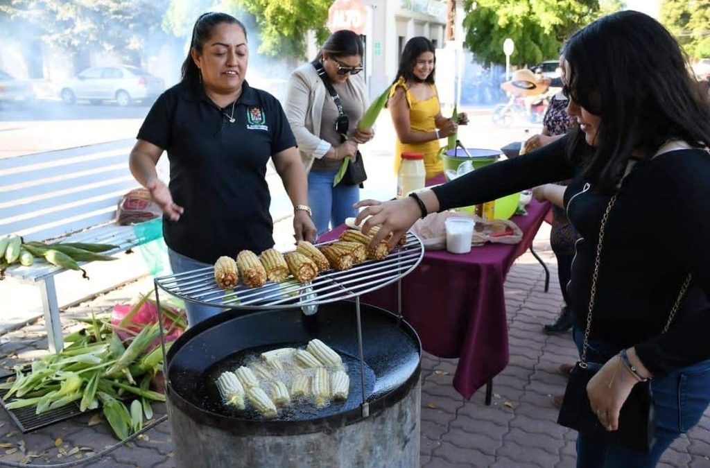 Busca la región del Évora más visitantes