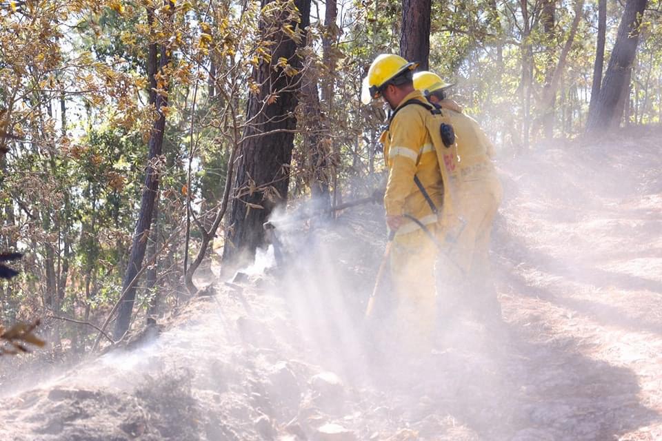 Llaman a evitar incendios forestales