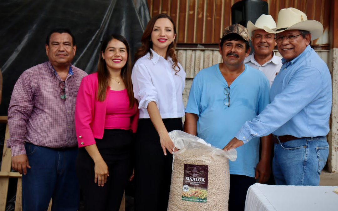 INICIÓ LA SAYG PROGRAMA DE ENTREGA DE SEMILLAS DE GARBANZO EN MOCORITO