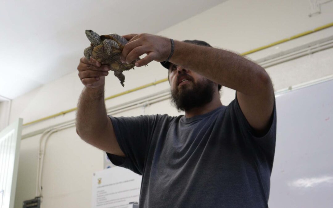 Facultad de Biología enseña a estudiantes la manipulación de reptiles de forma segura con técnicas y herramientas adecuadas