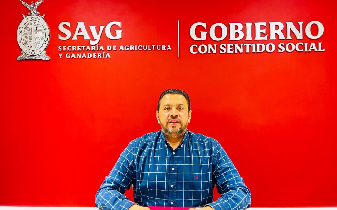 Última oportunidad a productores para el pago de maíz; este viernes cierran ventanilla de Segalmex: Bello Esquivel