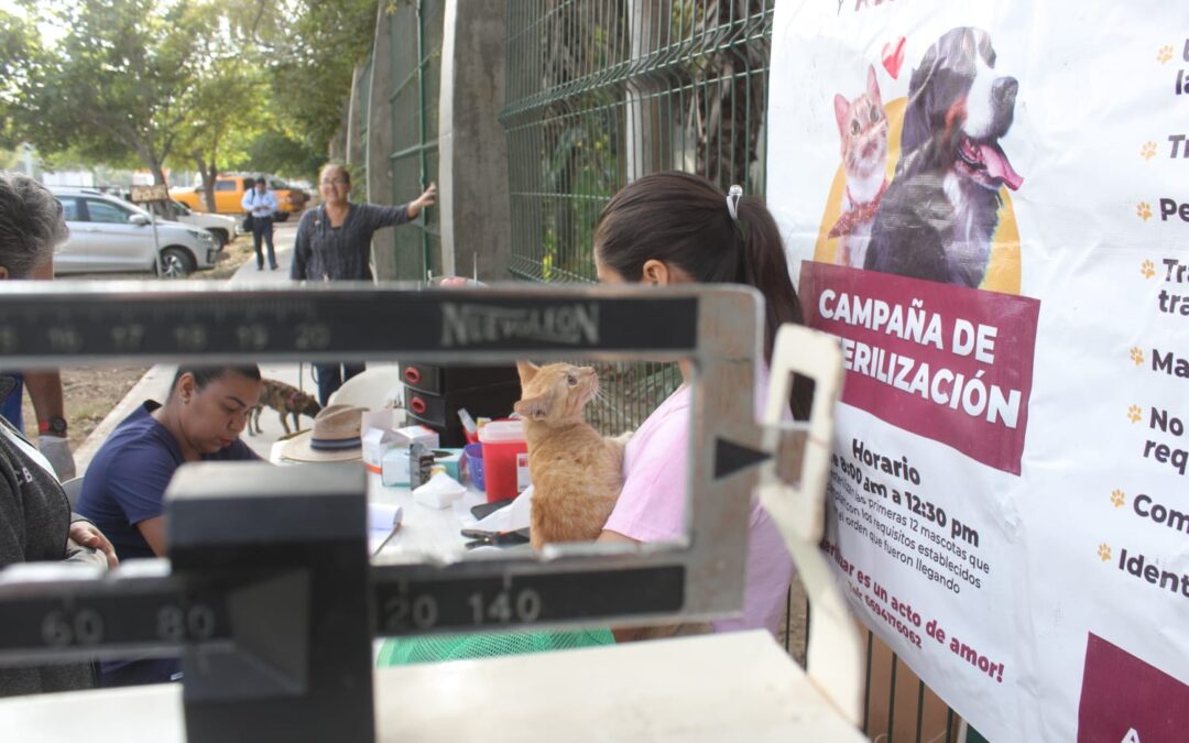 Llegará el camioncito esterilizador a la zona rural, próxima parada El Quelite y La Noria