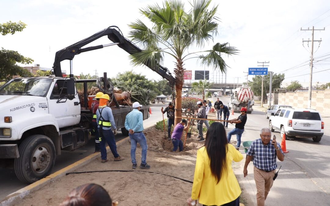 Llega “Camino de Colores” a la avenida Manuel J. Clouthier